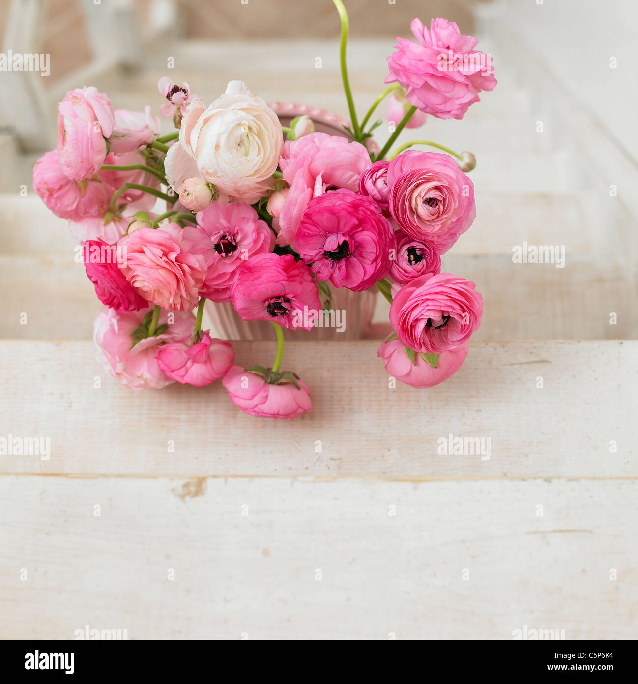 Eine Blume in Gießkanne auf der Treppe Stockfoto