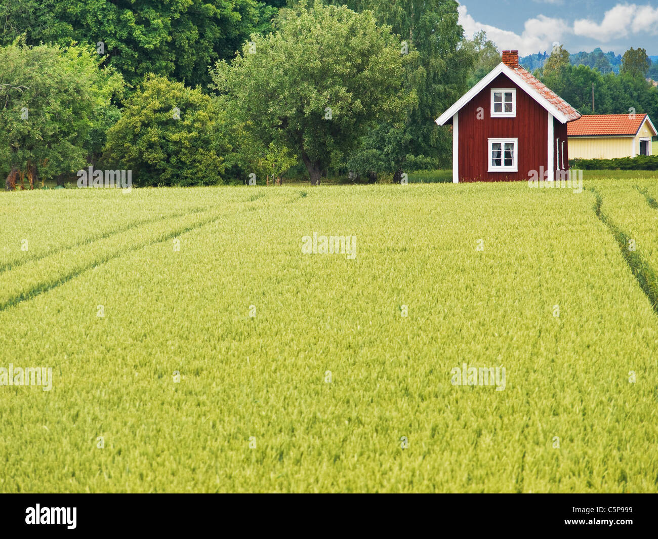 Typisches Rotes Holzhaus in Südschweden, Schweden, Europa | charakteristische Wohnung im südlichen Schweden, Europa Stockfoto
