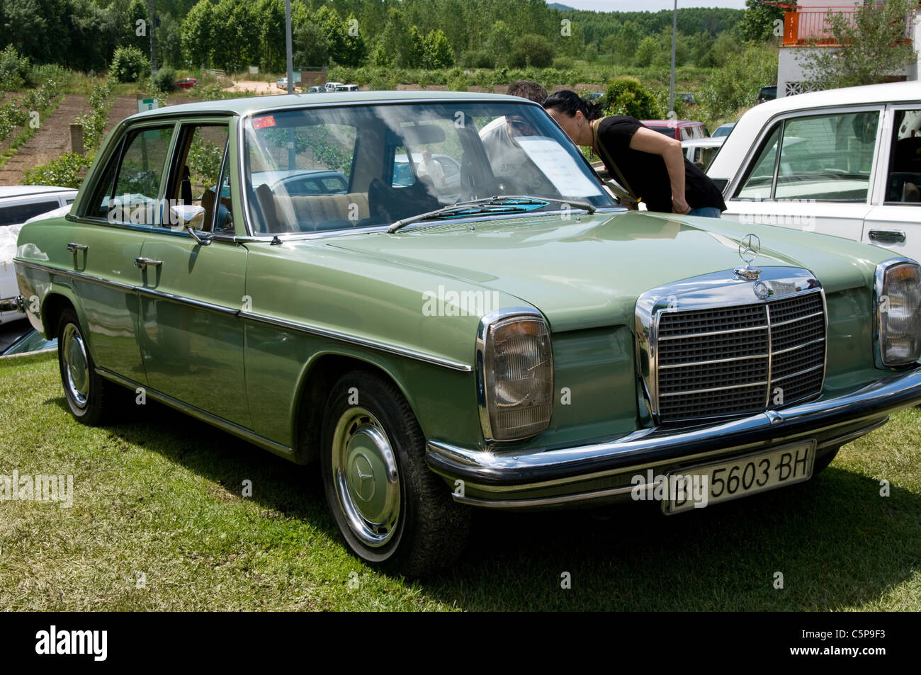 Mercedes Benz Oldtimer. Stockfoto