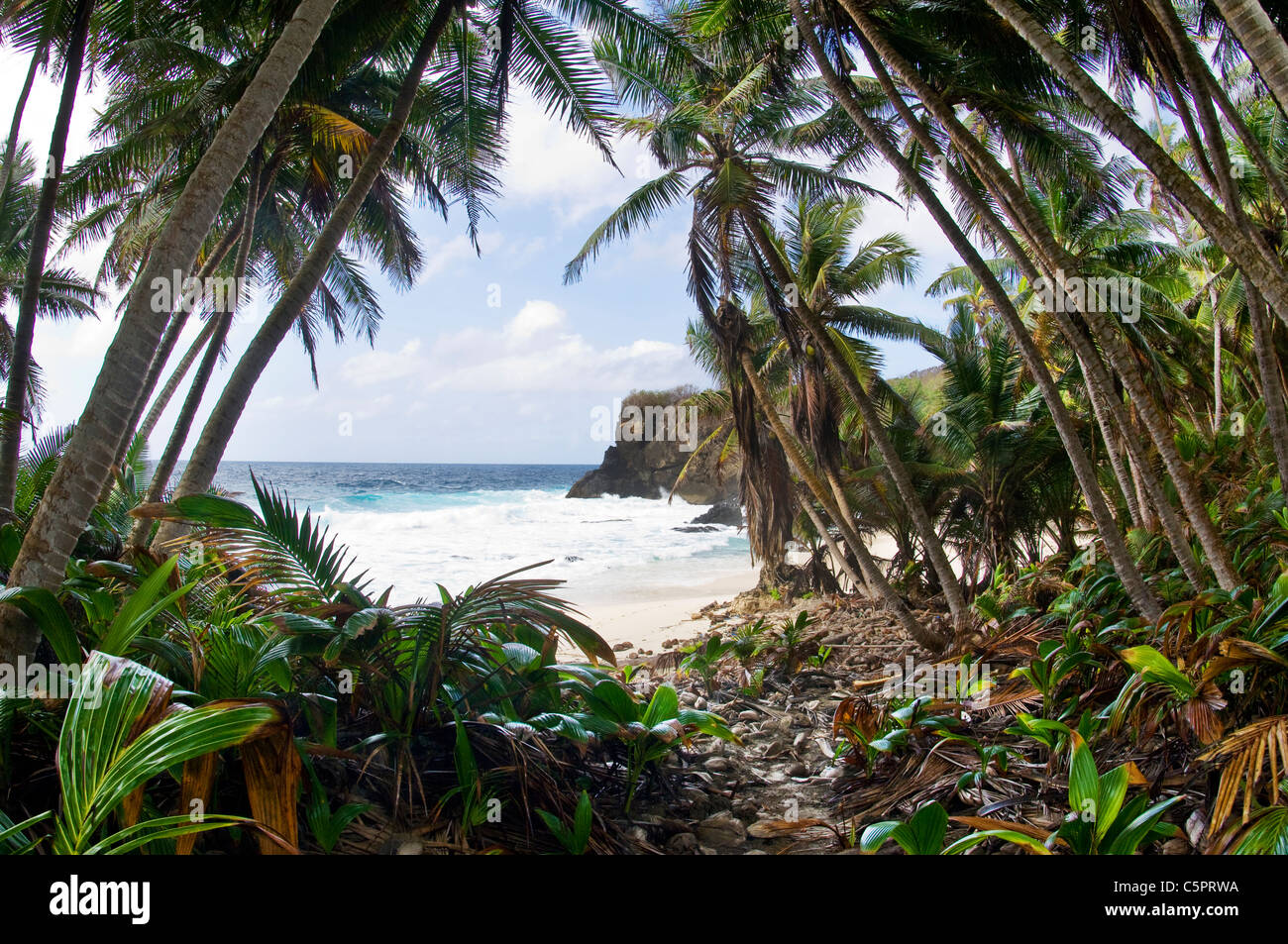 Dolly Beach, Christmas Island, Australien Stockfoto