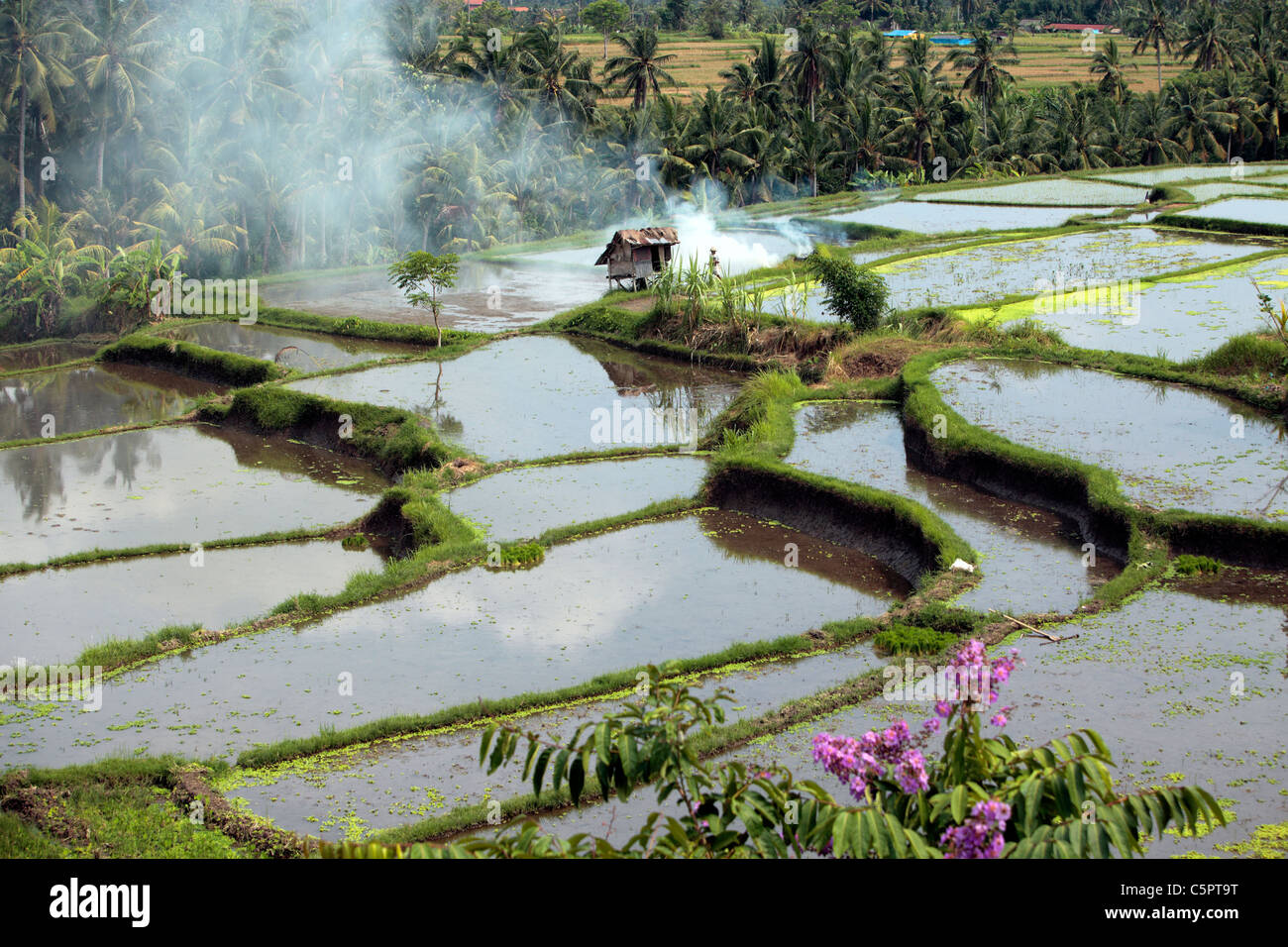 Bali, Indonesien Stockfoto
