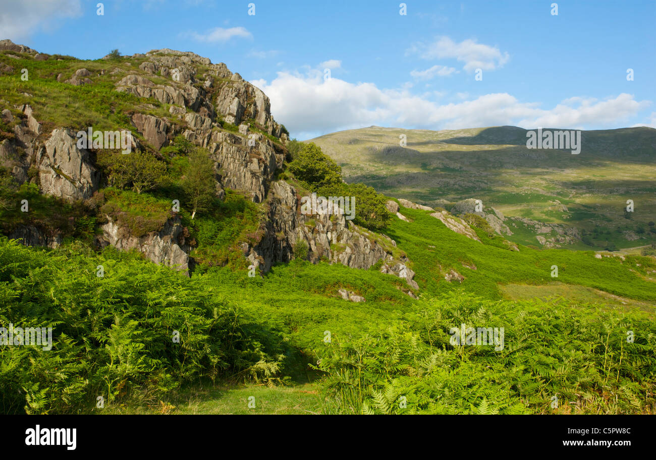 Felsige Landschaft in der Offshore-Valley, Lake District National Park, Cumbria, England UK Stockfoto