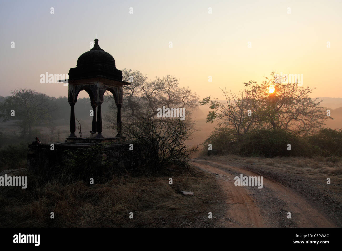 Ranthambore Nationalpark, Rajasthan, Indien Stockfoto