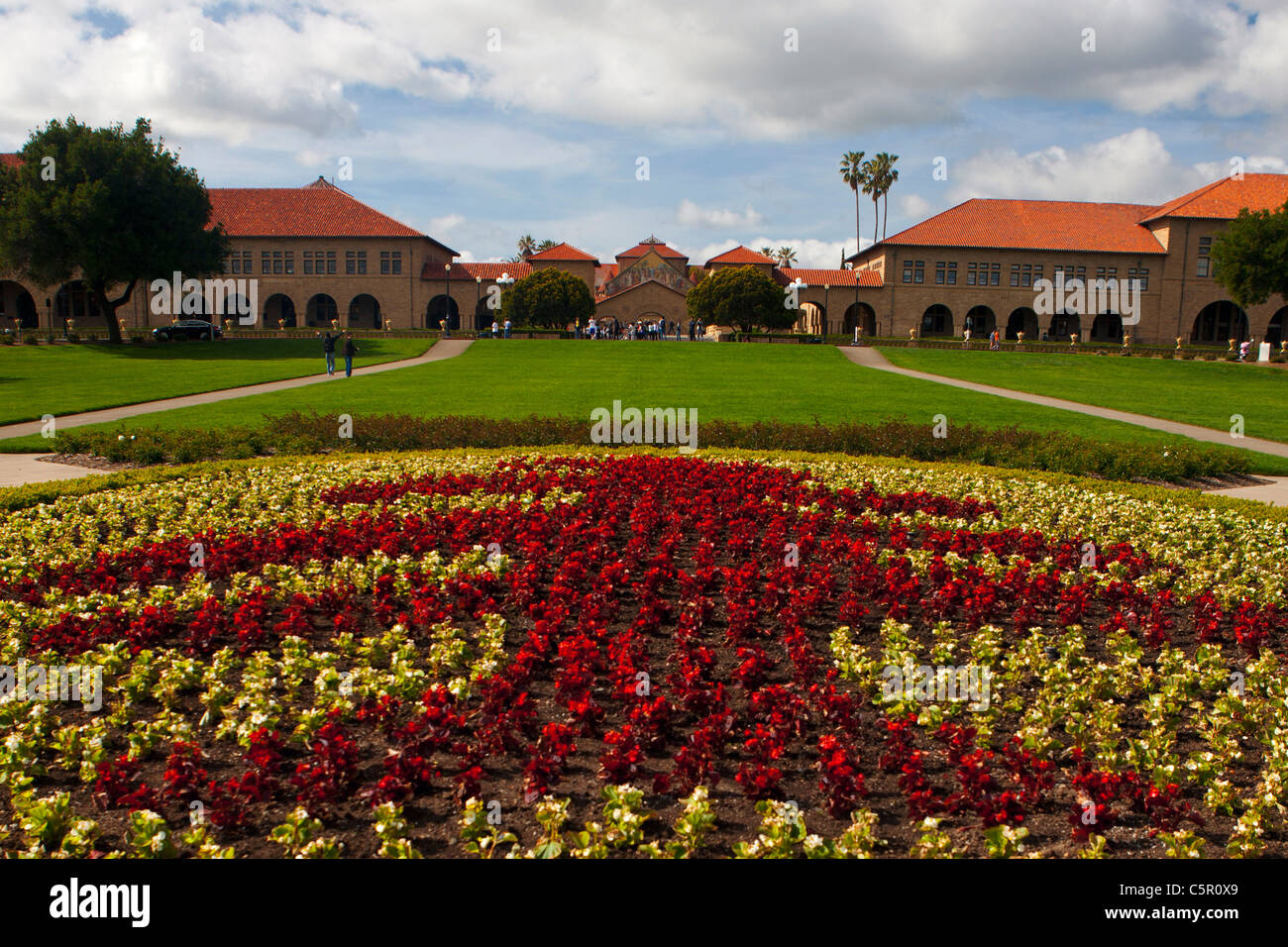 Blick auf die wichtigsten Quad mit Baum geformt Blumengarten, Stanford University, Stanford, California, Vereinigte Staaten von Amerika Stockfoto