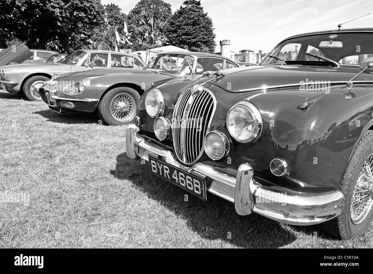 Eine schwarze und weiße Studie aus einer Reihe von klassischen Jaguar-Limousinen und Sportwagen Stockfoto
