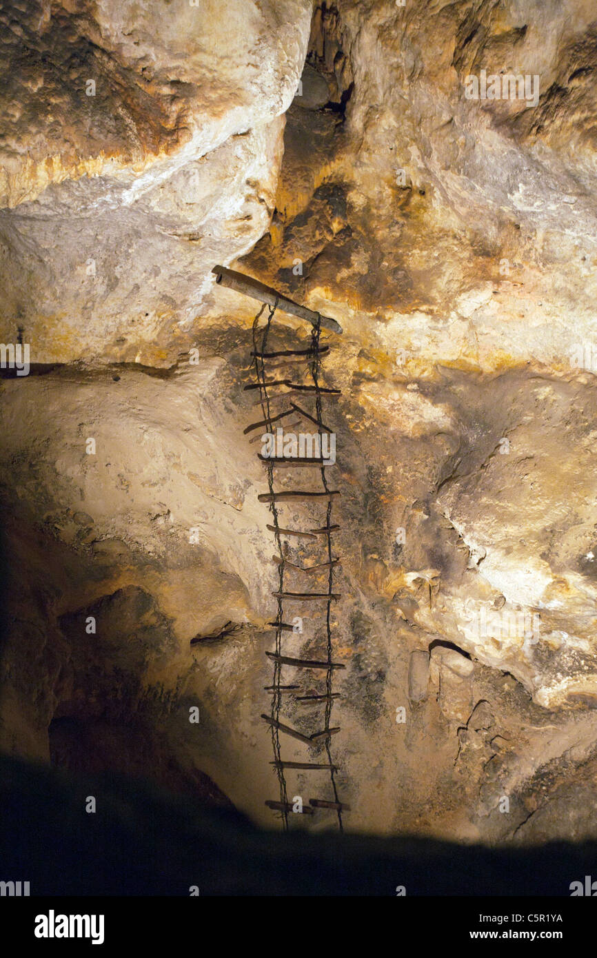 Alte Leiter links vom frühen Erkundungen, großen Raum / Saal der Riesen, Carlsbad Caverns National Park, New Mexico, USA Stockfoto