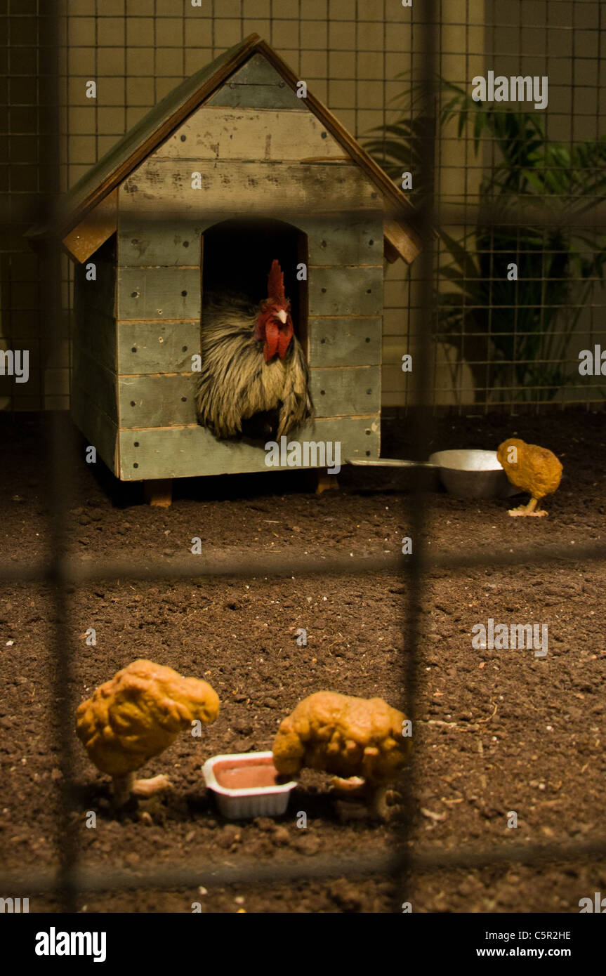 Banksy Installation einer Henne in einen Stall und 3 Chicken Nuggets eintauchen in Töpfen Stockfoto