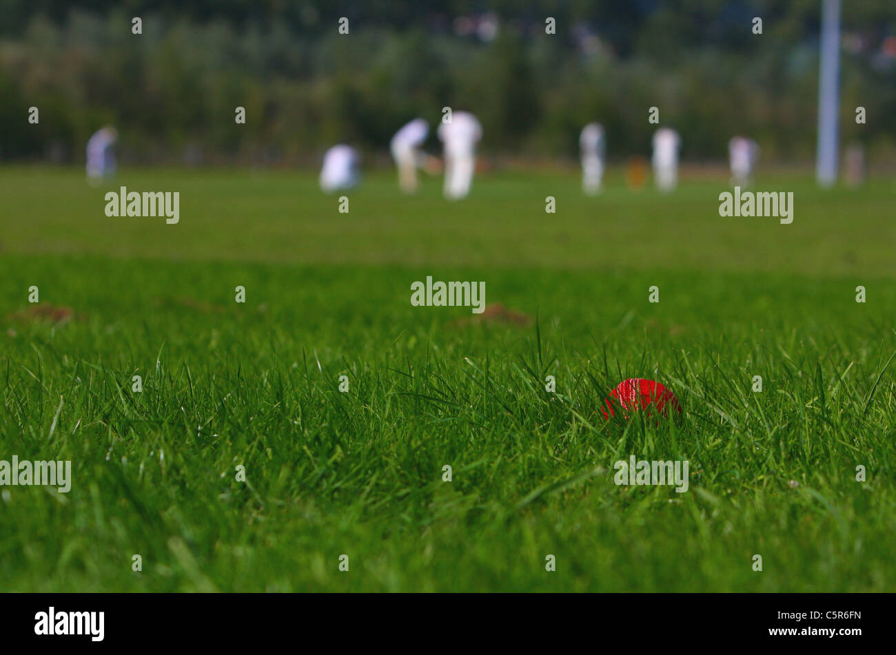 Amateur Cricket-Spiel, gespielt in Walferdange (Luxemburg) am 09.03.10 Stockfoto