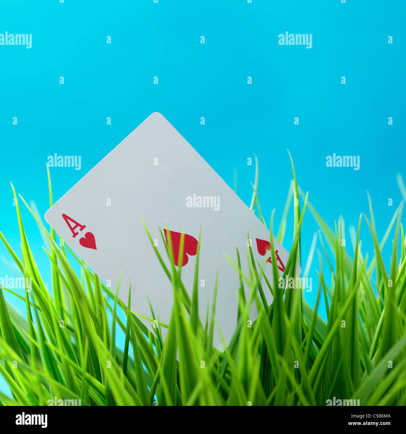 Eine Spielkarte auf Rasen Stockfoto