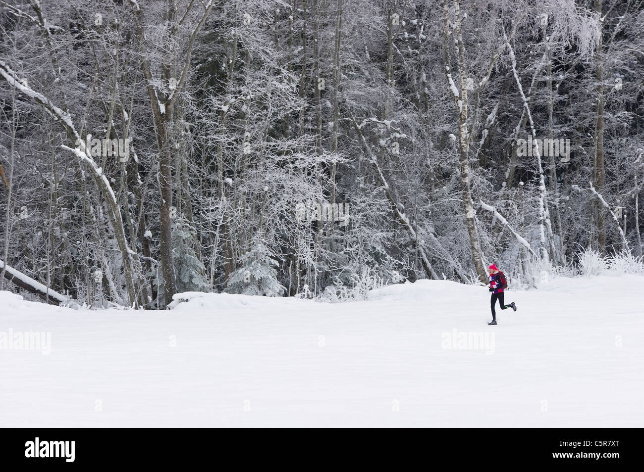 Joggen in verschneiter Winterlandschaft. Stockfoto