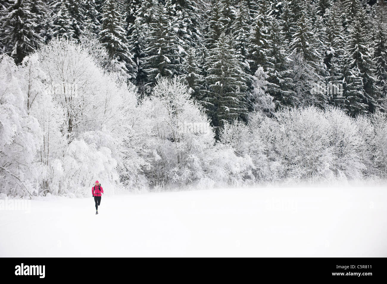 Ein Jogger läuft durch einen schönen Schnee bedeckt Wald. Stockfoto