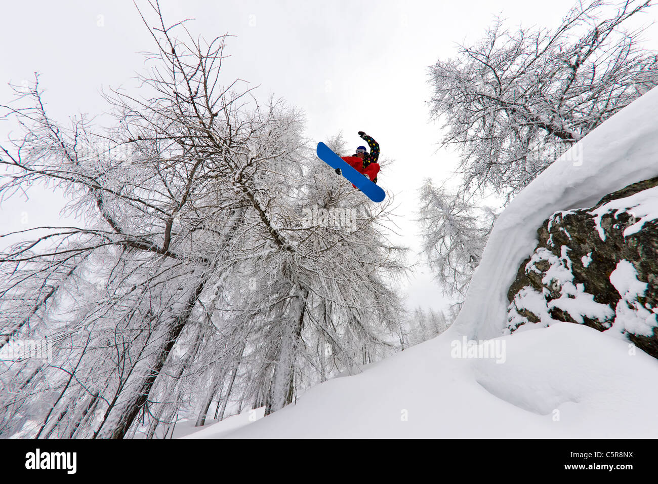 Ein Snowboarder springen durch einen verschneiten alpinen Wald. Stockfoto
