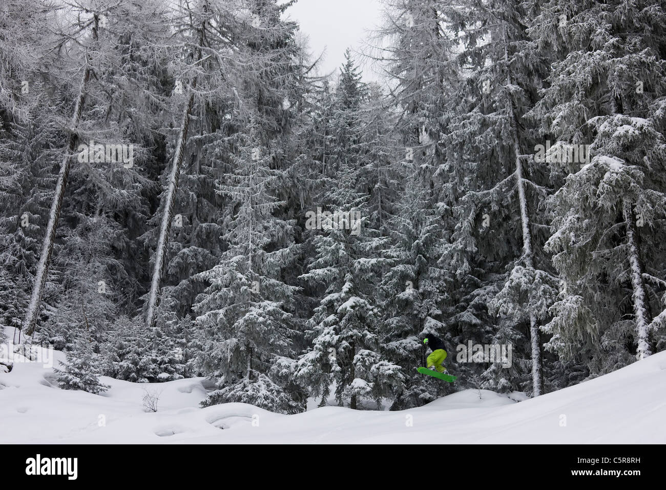 Snowboarder springt aus einem verschneiten alpinen Wald. Stockfoto