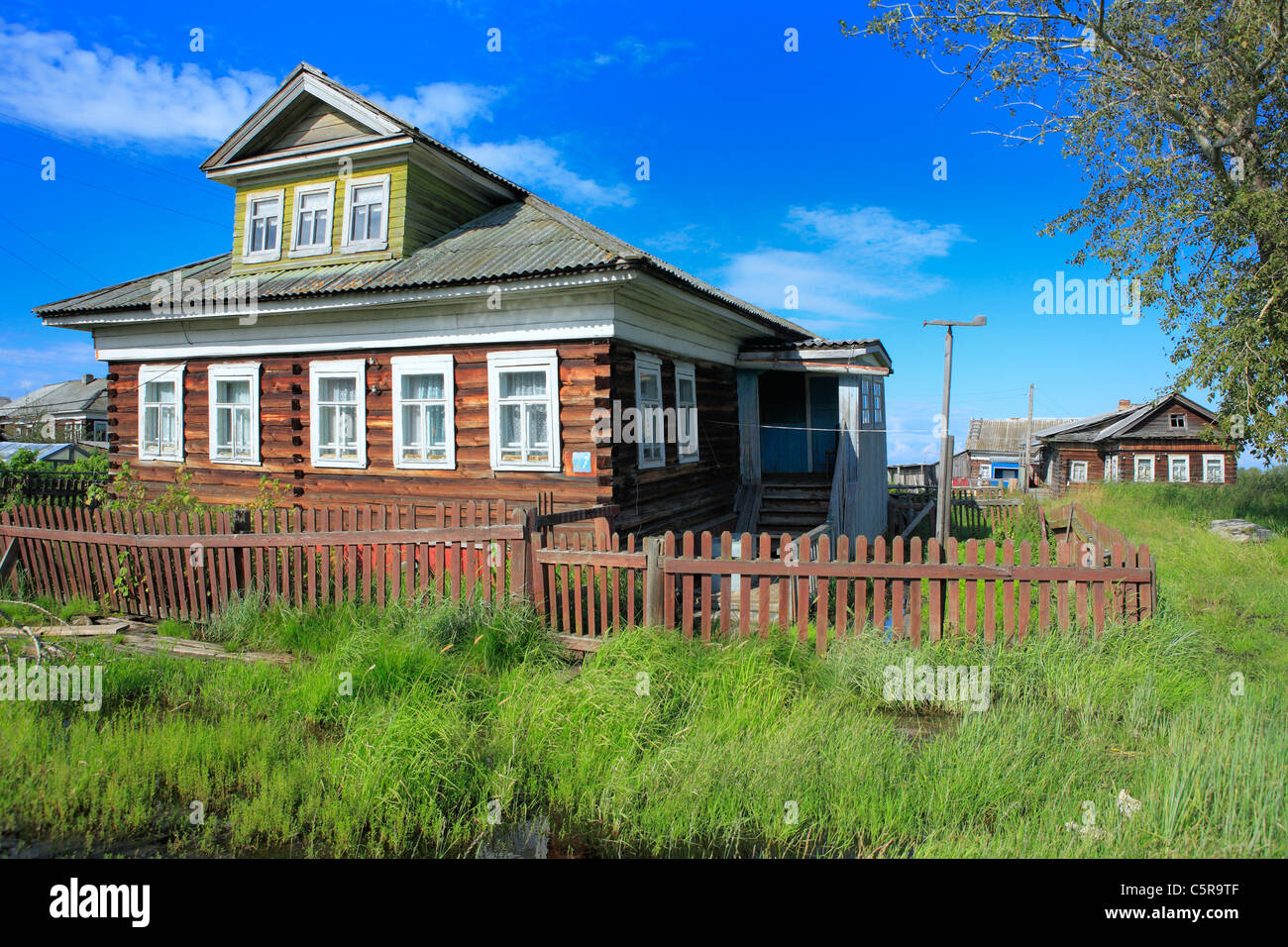 Insel in Dvina Fluss Delta, Konetsdvorie, Archangelsk (Archangelsk) Region, Russland Stockfoto