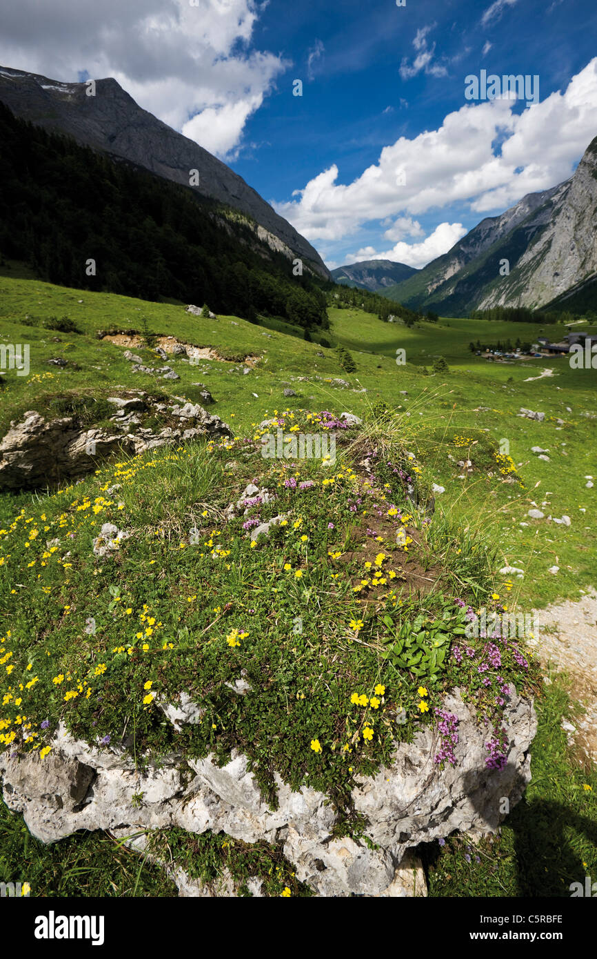 Österreich, Tirol, Engtal, Landschaft Stockfotografie - Alamy