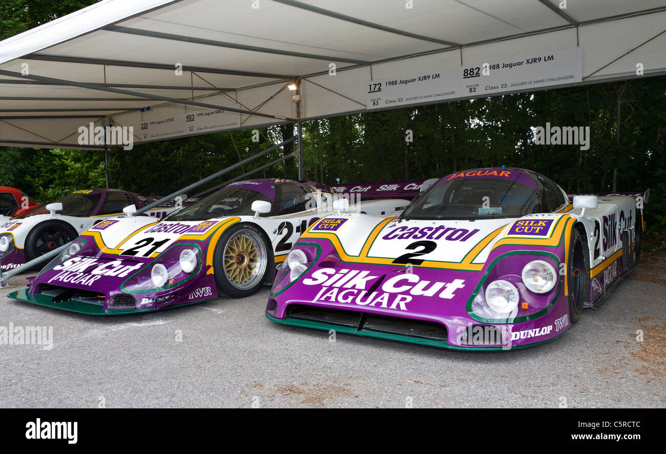 Le Mans gewann 1988 Jaguar XJR9LM Autos auf der Koppel auf der 2011 Goodwood Festival of Speed, Sussex, England, UK. Stockfoto