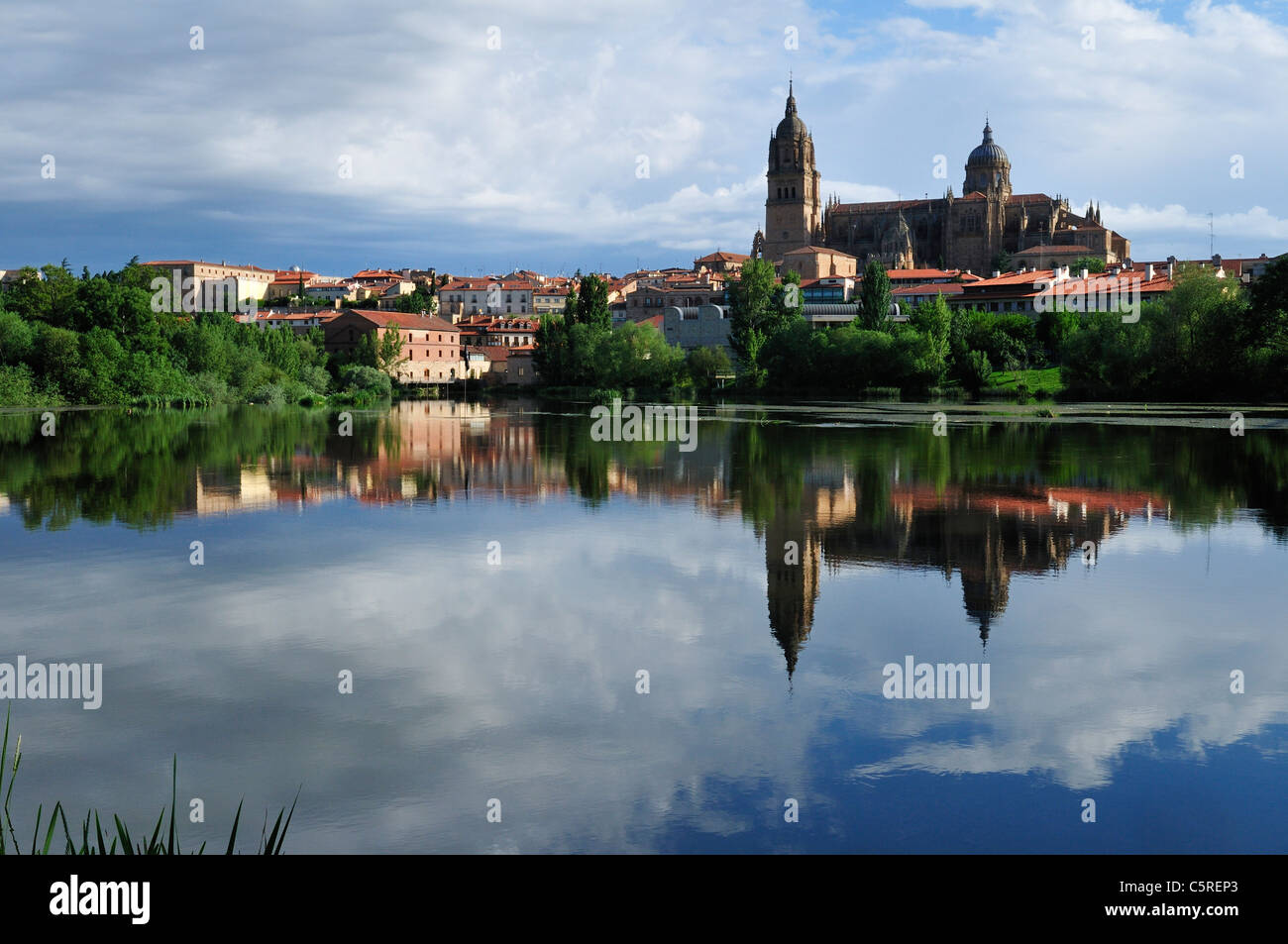 Europa, Spanien, Kastilien und León, Salamanca, Blick auf Stadt und Kathedrale in Rio Tormes Stockfoto