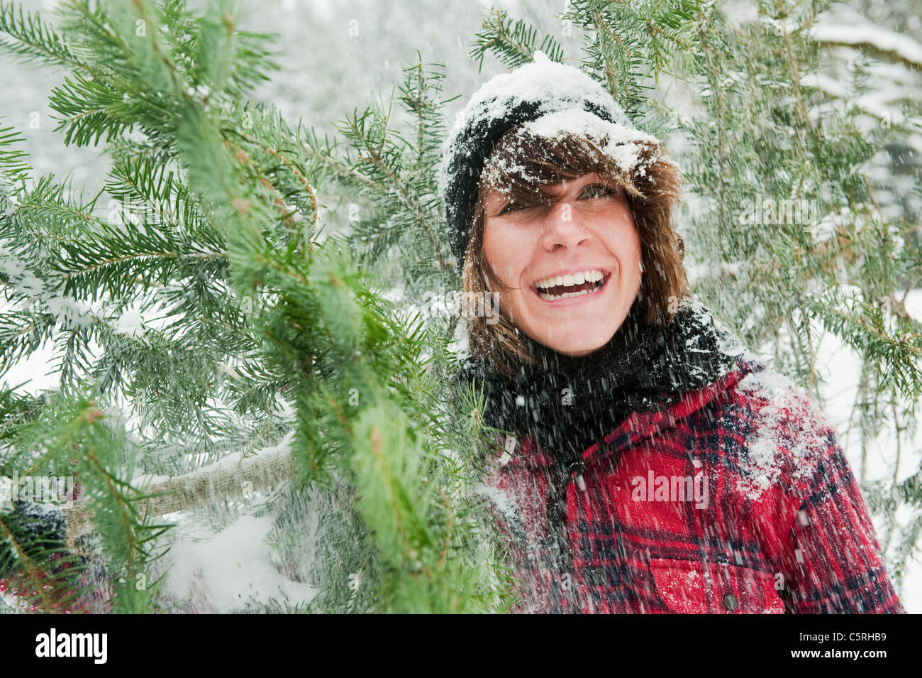 Österreich, Salzburger Land, Flachau, junge Frau mit Weihnachtsbaum Stockfoto