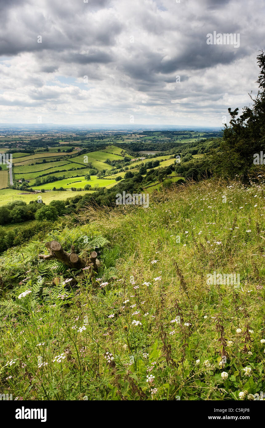 See Gormire und Vale of York von Sutton Bank, North York Moors National Park Stockfoto