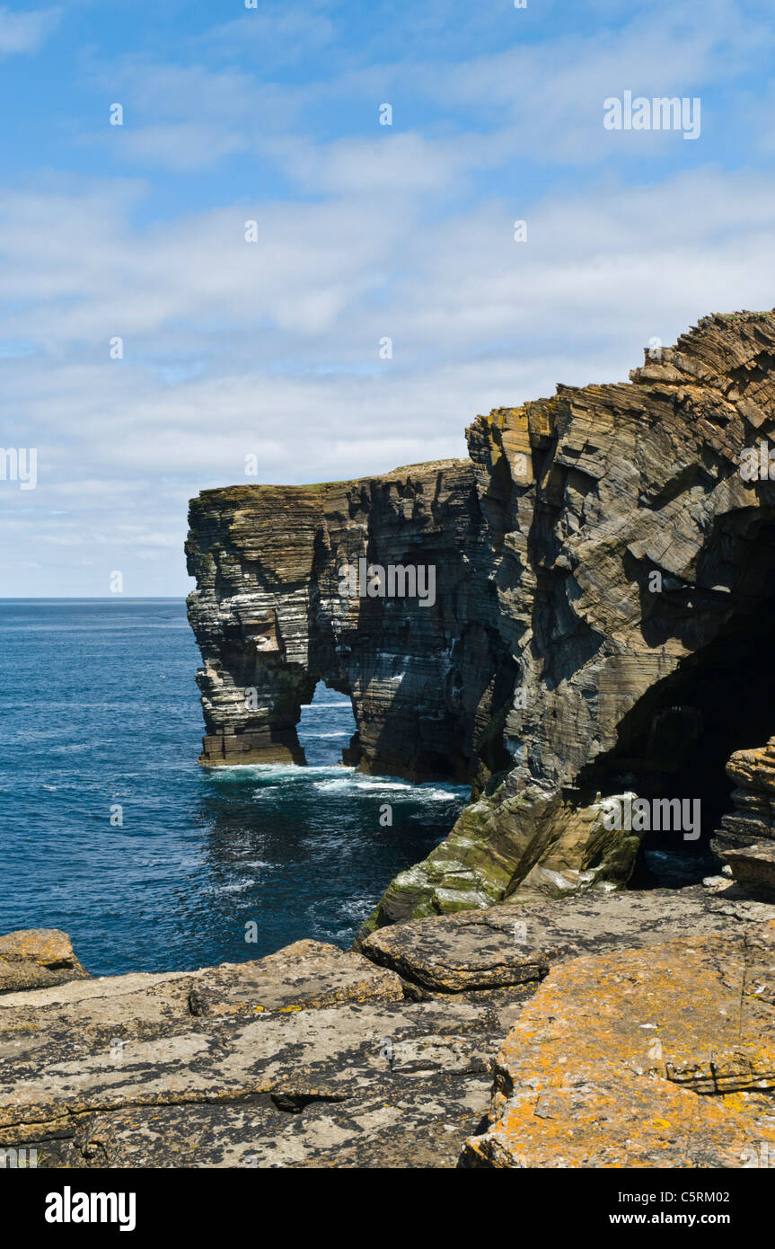 dh Scabra Kopf ROUSAY ORKNEY Rousay Seacliffs und natürliche Meer arch Stockfoto