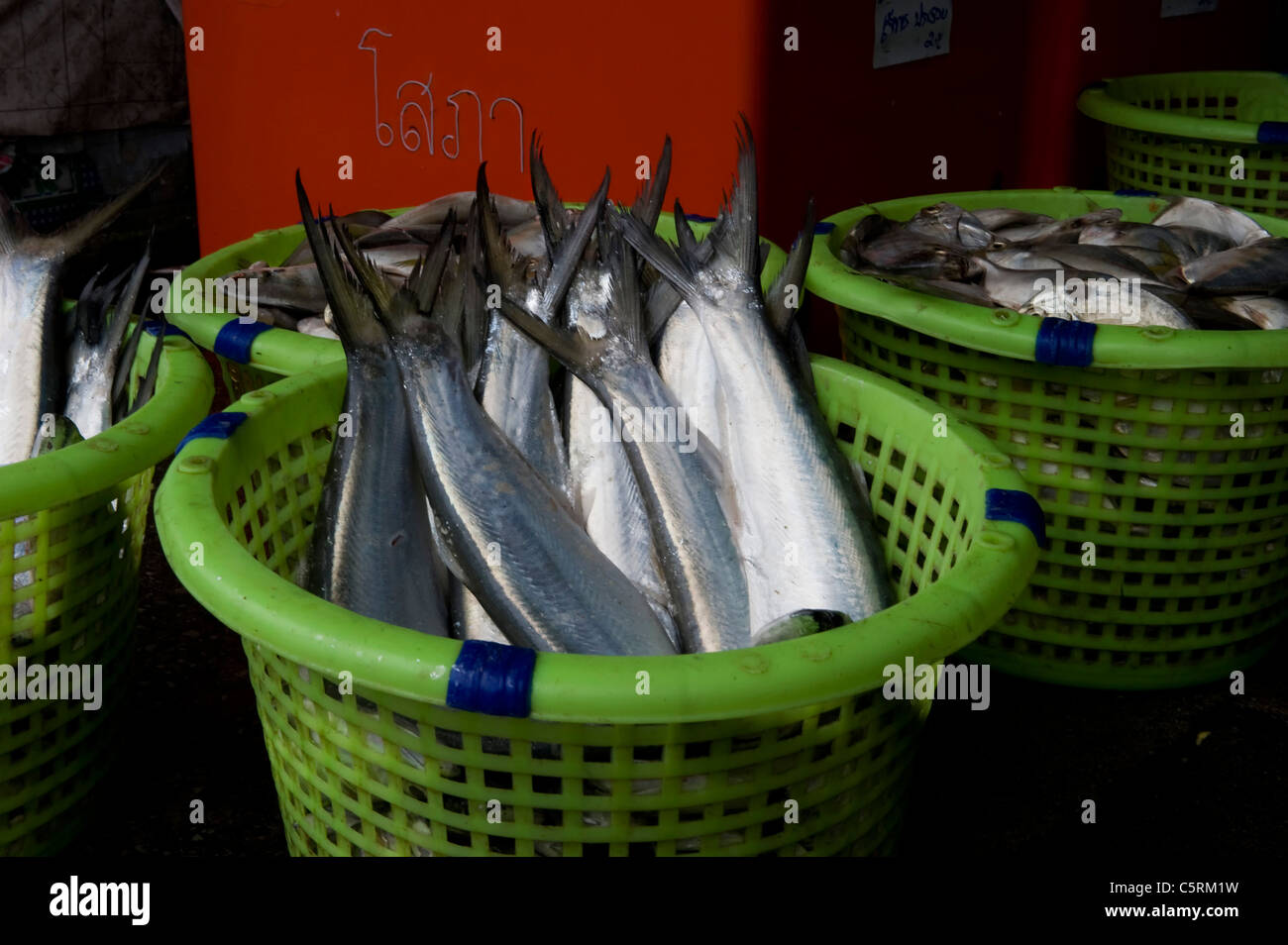 Salzwasser Fische in einem kleinen Konservenfabrik in Thailand Stockfoto