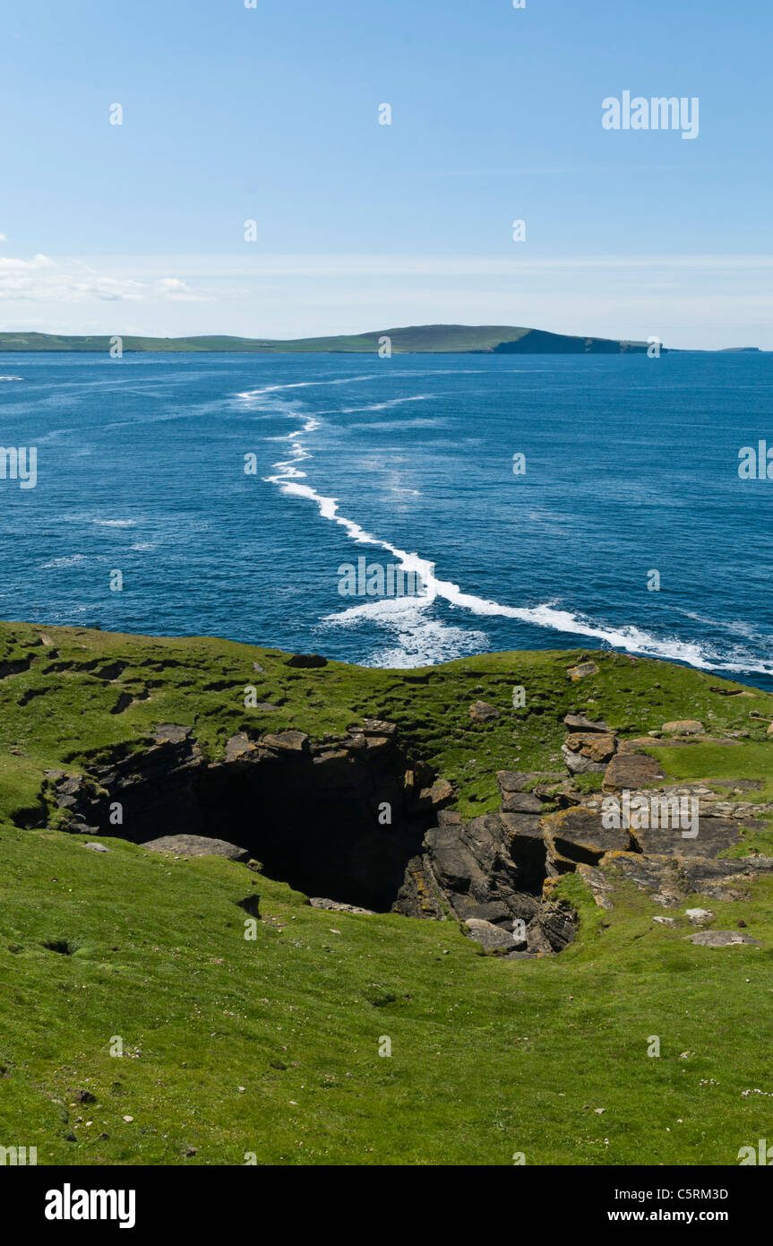 dh ROUSAY ORKNEY Rousay Nordküste Geo schottische Küstenerosion Stockfoto
