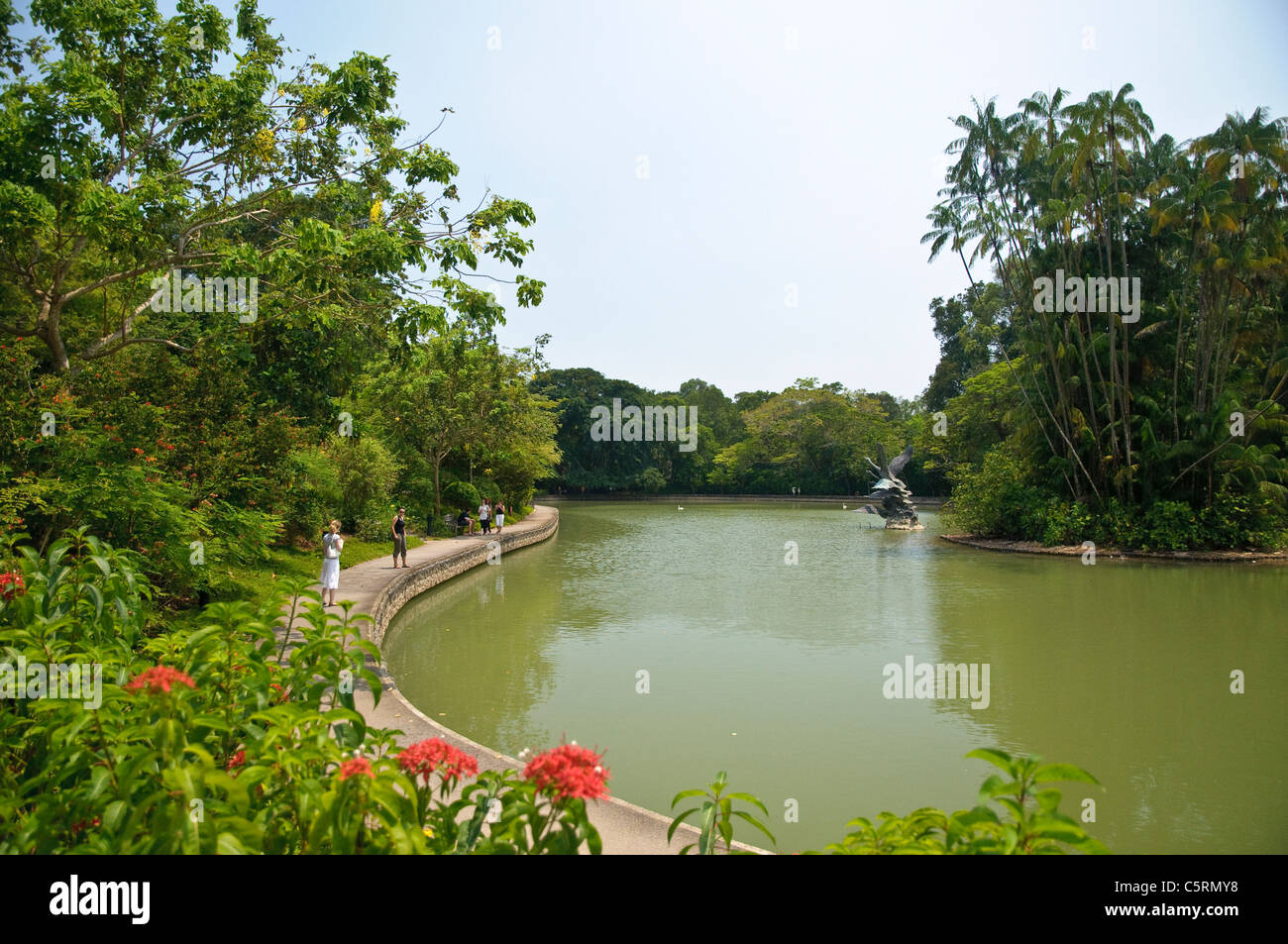 Singapore Botanic Gardens, Singapur, Südostasien, Asien Stockfoto