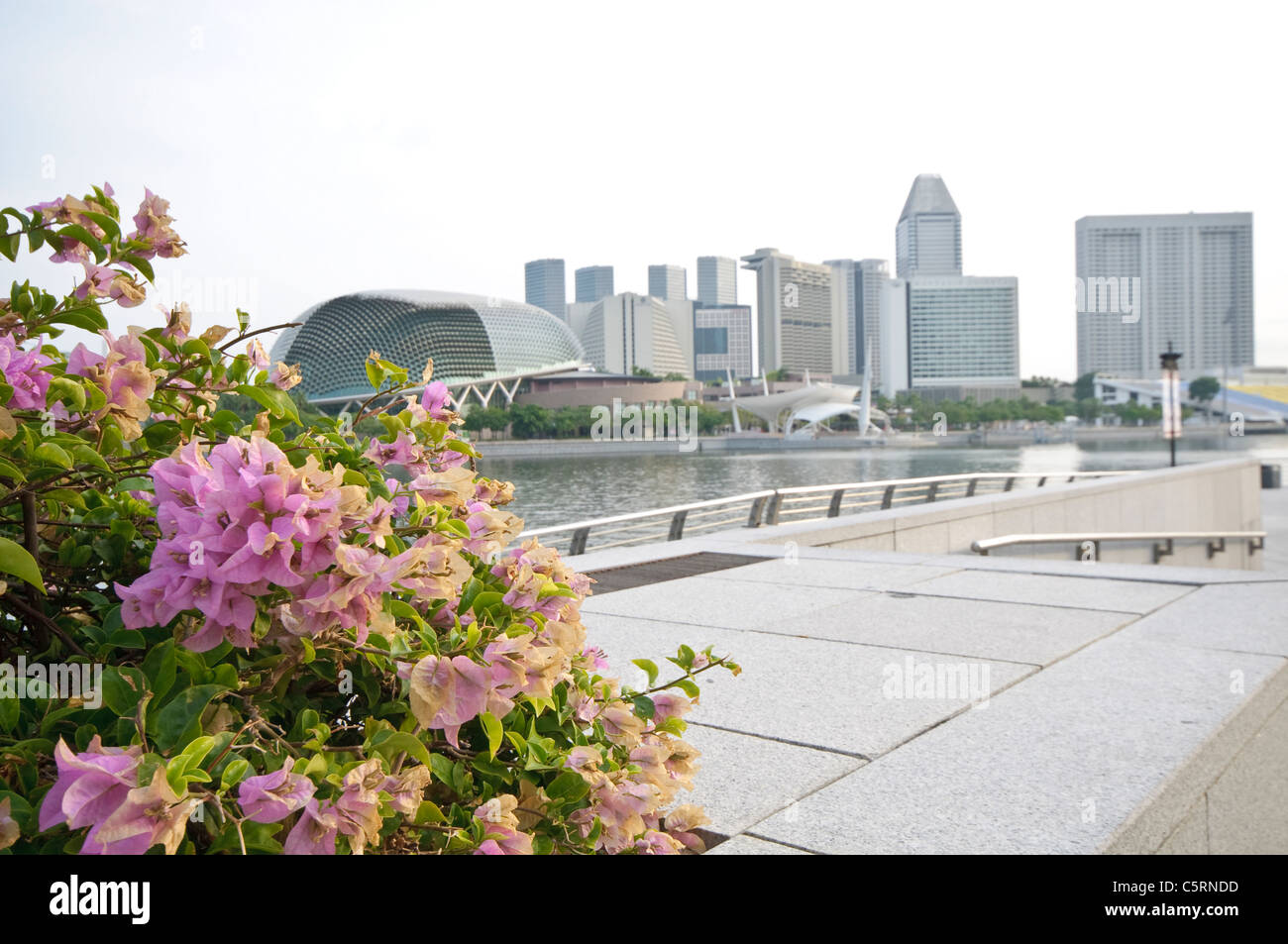 Konzertsaal der Esplanade, ein Zentrum für darstellende Kunst an der Marina Bay, Skyline, Singapur, Südostasien Stockfoto