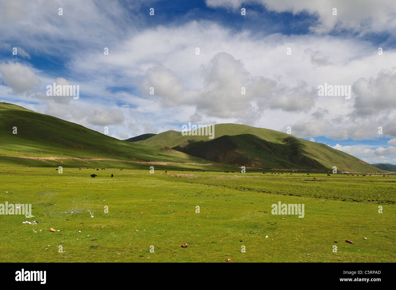 Offenes Grasland im westlichen Mittelland. Sichuan, China. Stockfoto