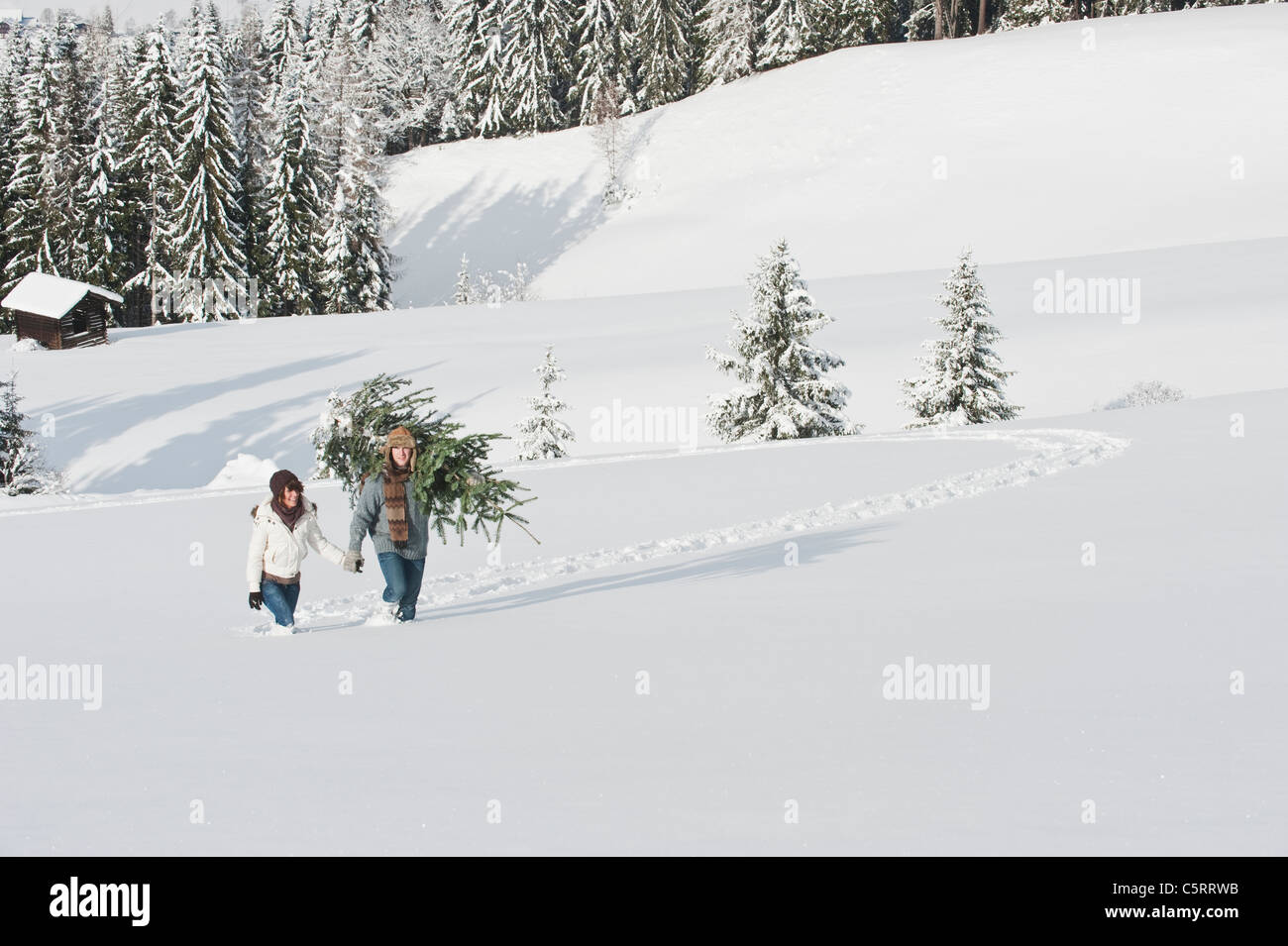 Österreich, Salzburger Land, Flachau, junger Mann und Frau mit Weihnachtsbaum im Schnee Stockfoto