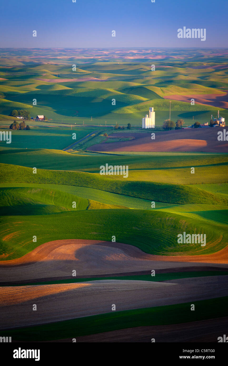 Palouse Landschaft von Steptoe Butte State Park in Washington State, USA Stockfoto