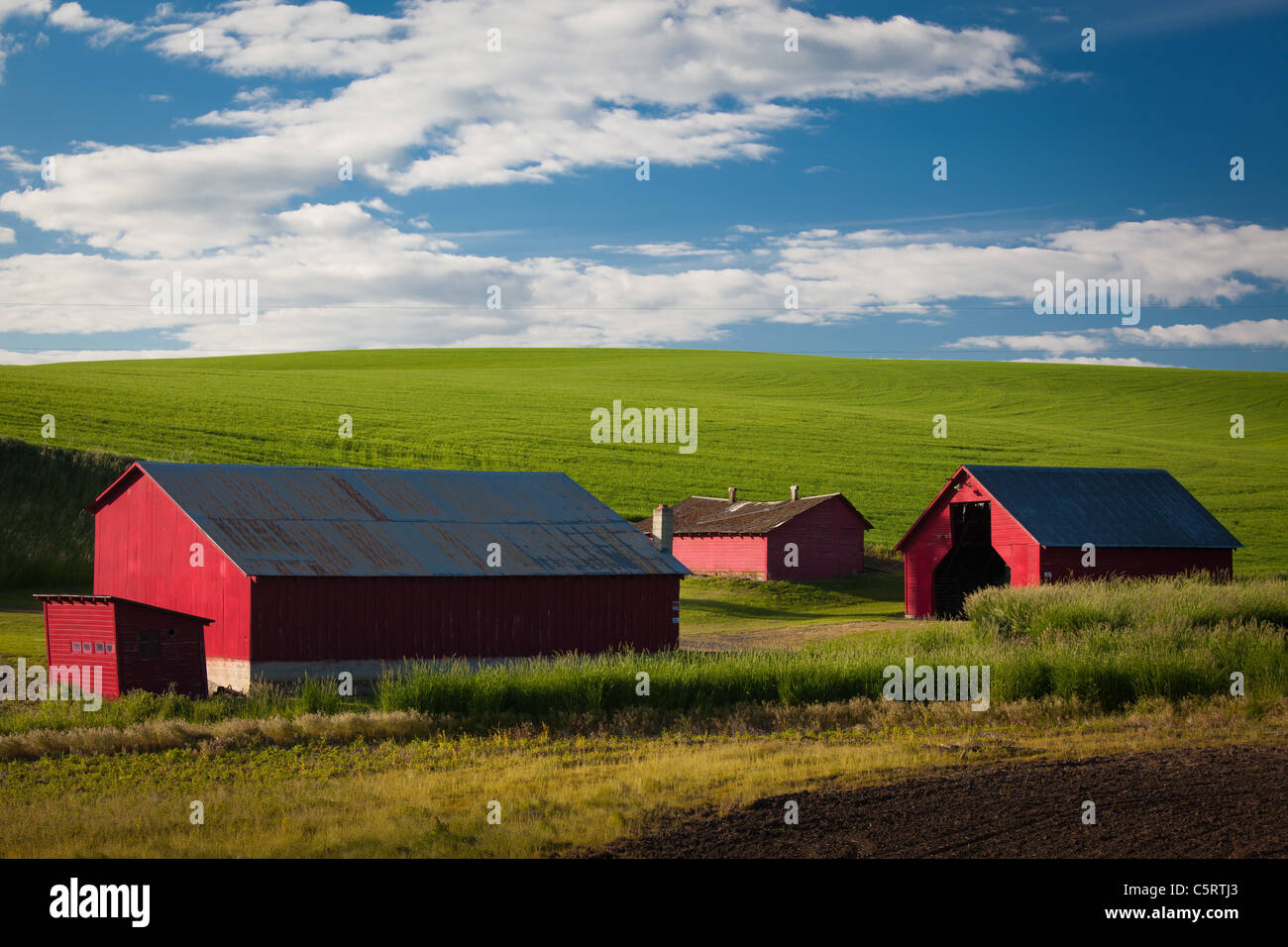 Wirtschaftsgebäude im Bereich landwirtschaftliche Palouse des östlichen US-Bundesstaat Washington. Stockfoto