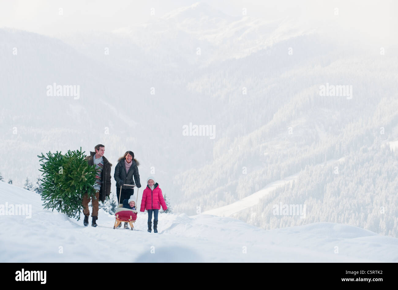 Österreich, Salzburger Land, Flachau, Blick auf Familie mit Weihnachtsbaum und Schlitten im Schnee Stockfoto