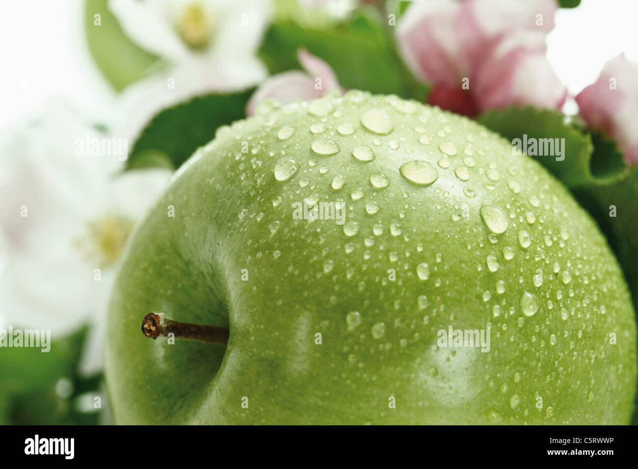 Gruner Apfel Mit Wassertropfen Im Hintergrund Apfelblute Nahaufnahme Stockfotografie Alamy