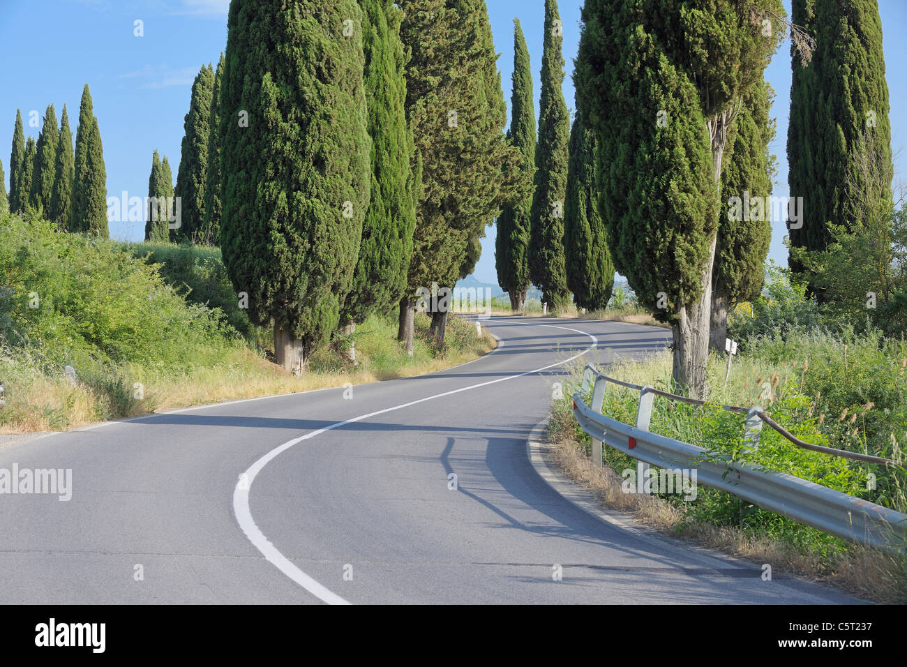 Italien, Toskana, Provinz Siena, Val d ' Orcia, Blick auf kurvenreichen Straße, gesäumt von Zypressen Stockfoto