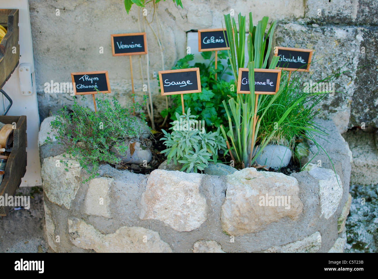 Ein kleines Blumenbeet mit sortierten beschriftet Kräuter wachsen vor einem Geschäft in Baux-de-Provence, Frankreich Stockfoto