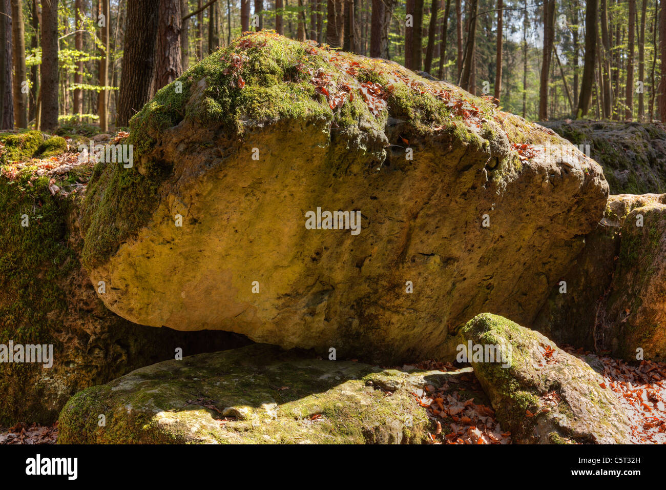 Deutschland Bayern Franken oberen Franken Fränkische Schweiz Pottenstein Druidenhain Wohlmannsgesees Moos auf Felsen Stockfoto