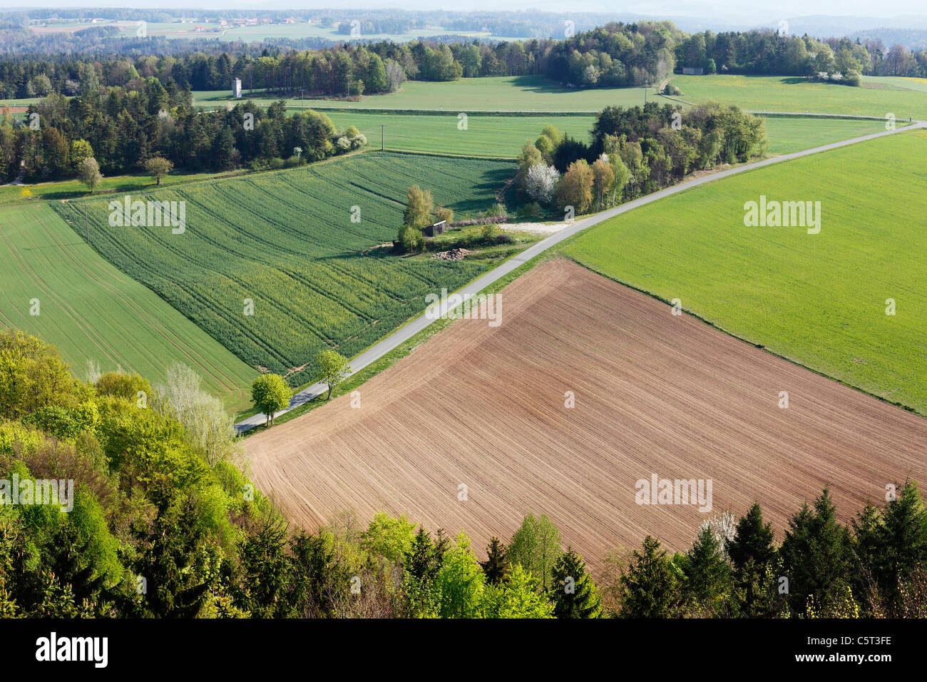 Deutschland, Bayern, Franken, Oberfranken, Fränkische Schweiz, Muggendorf, Blick auf landwirtschaftlichen Flächen Stockfoto