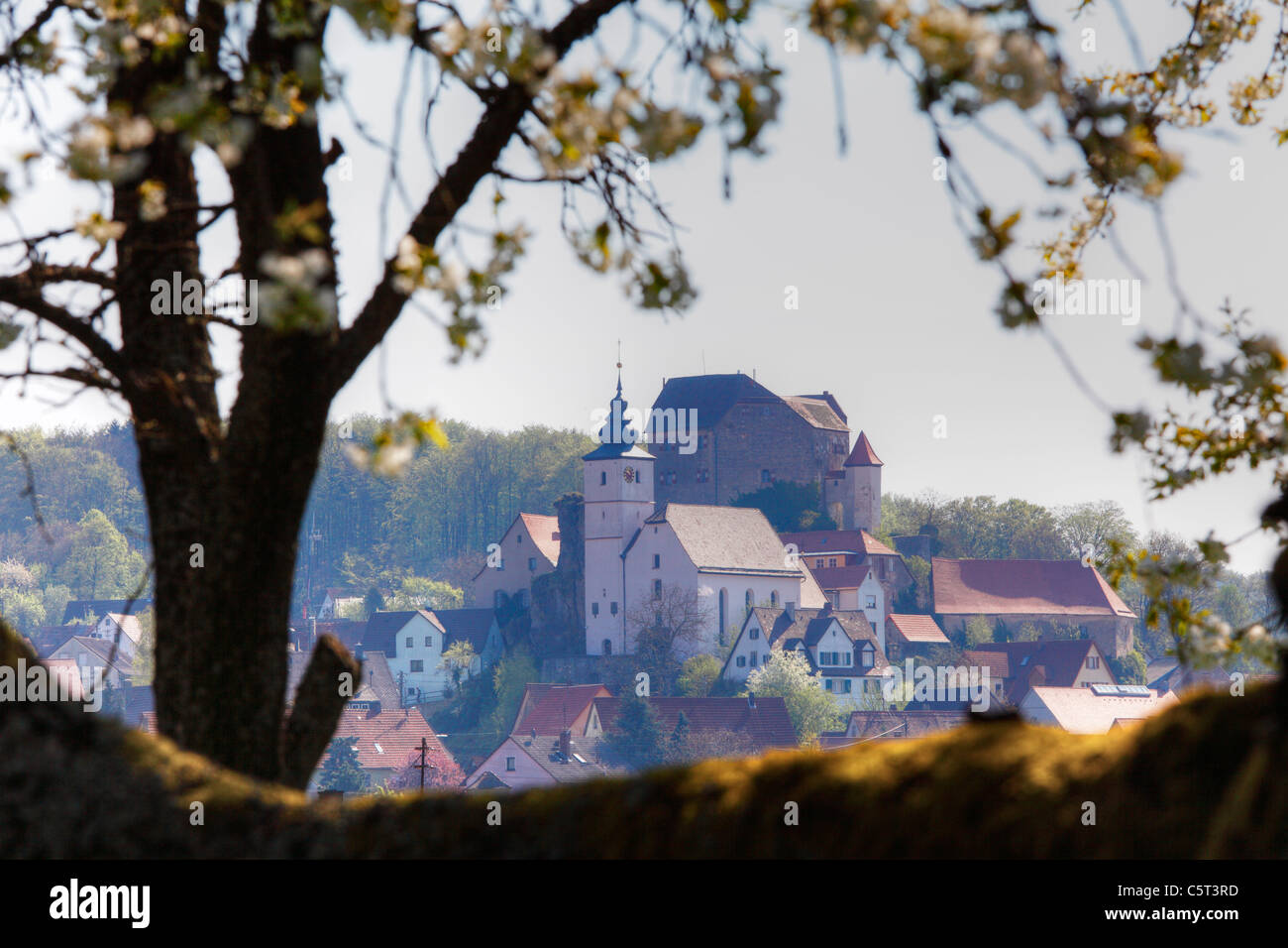 Deutschland, Bayern, Franken, Oberfranken, Fränkische Schweiz, Hiltpoltstein, Häuser auf Hügel mit Baum im Vordergrund Stockfoto