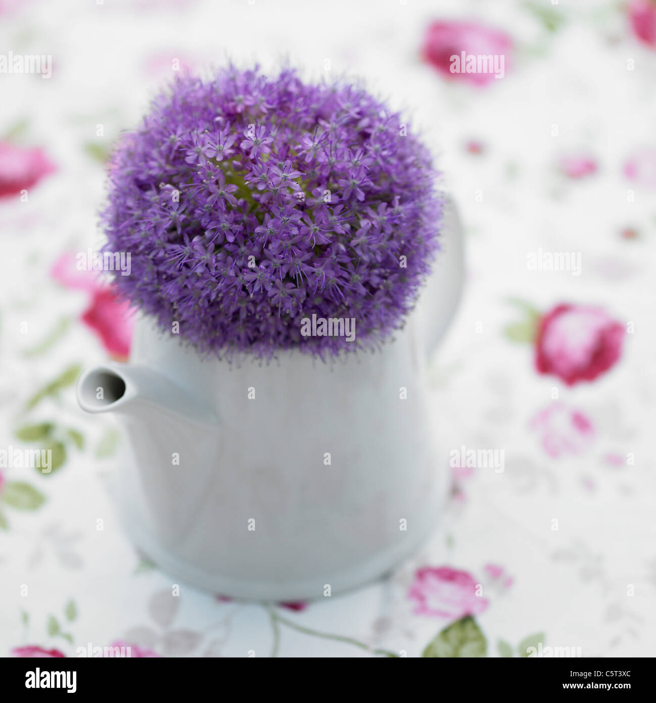 Lila Blüten in einer Blumenvase Stockfoto