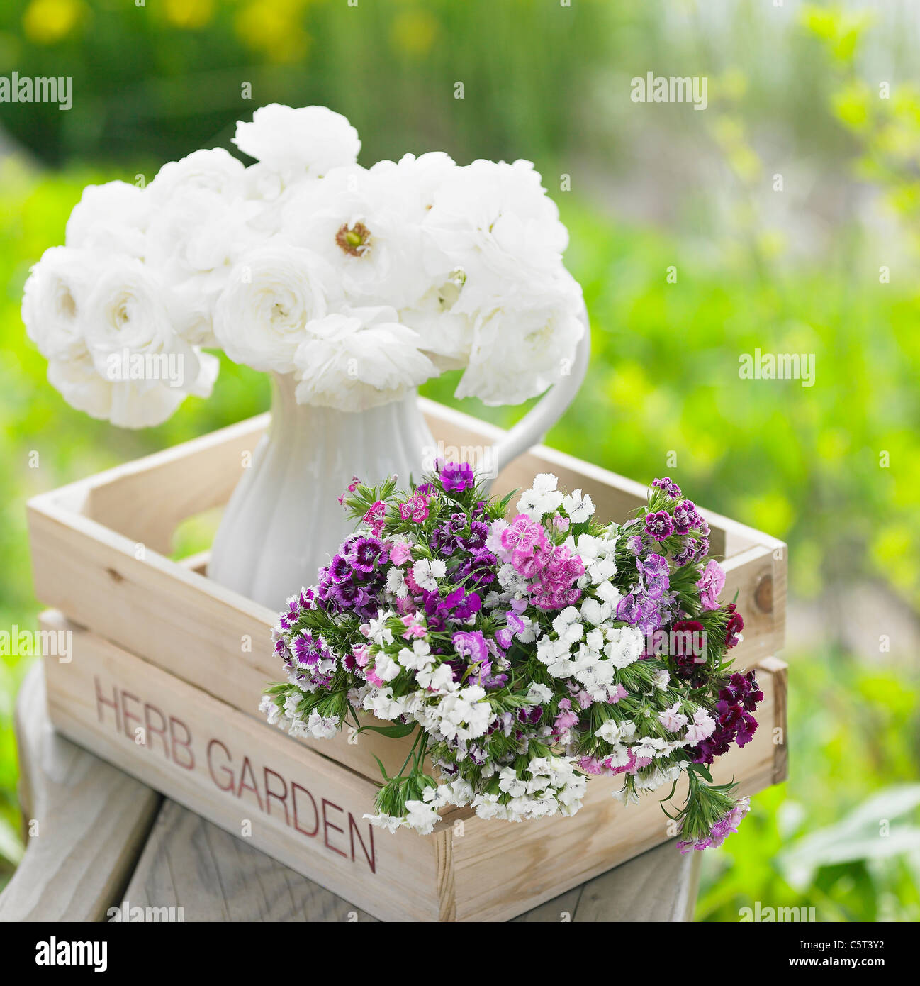 Blumen-Vase und Blumen in der Holzkiste Stockfoto