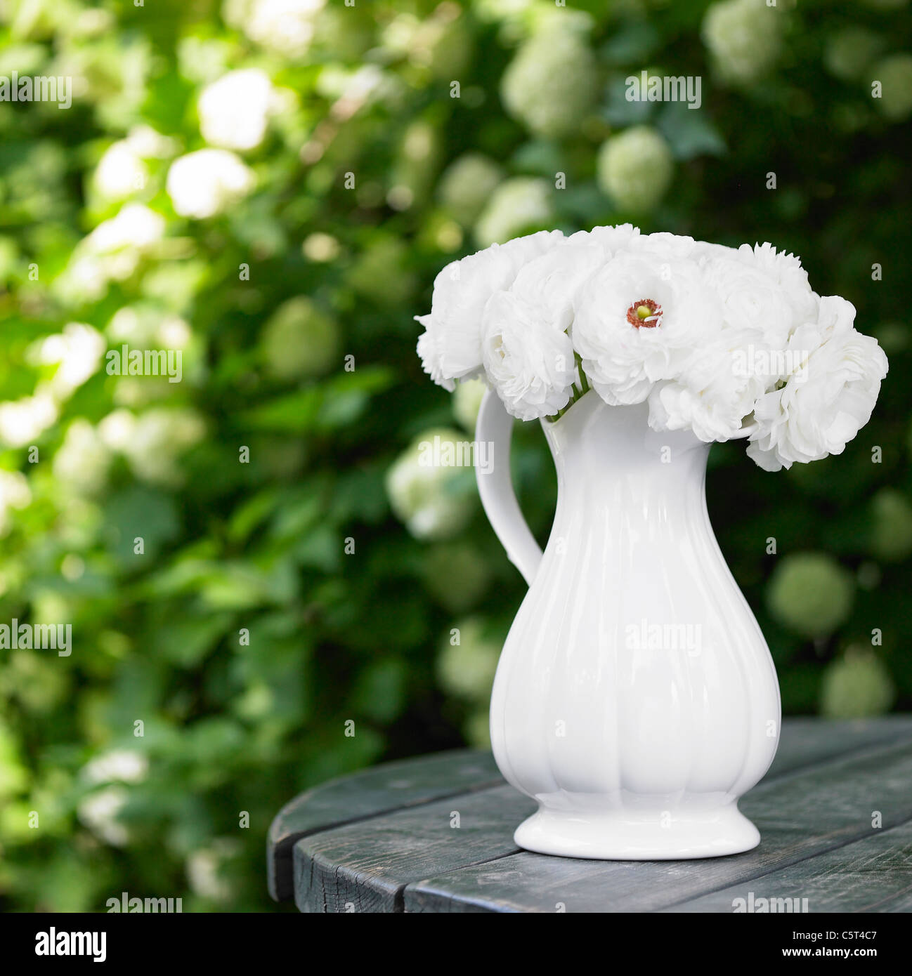 Blumenvase im Garten Stockfoto