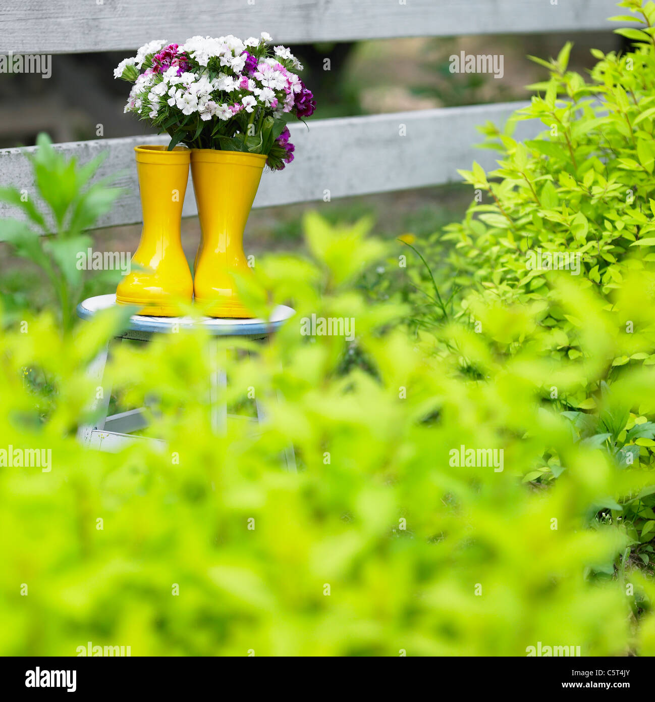 Stiefel im Garten Stockfoto