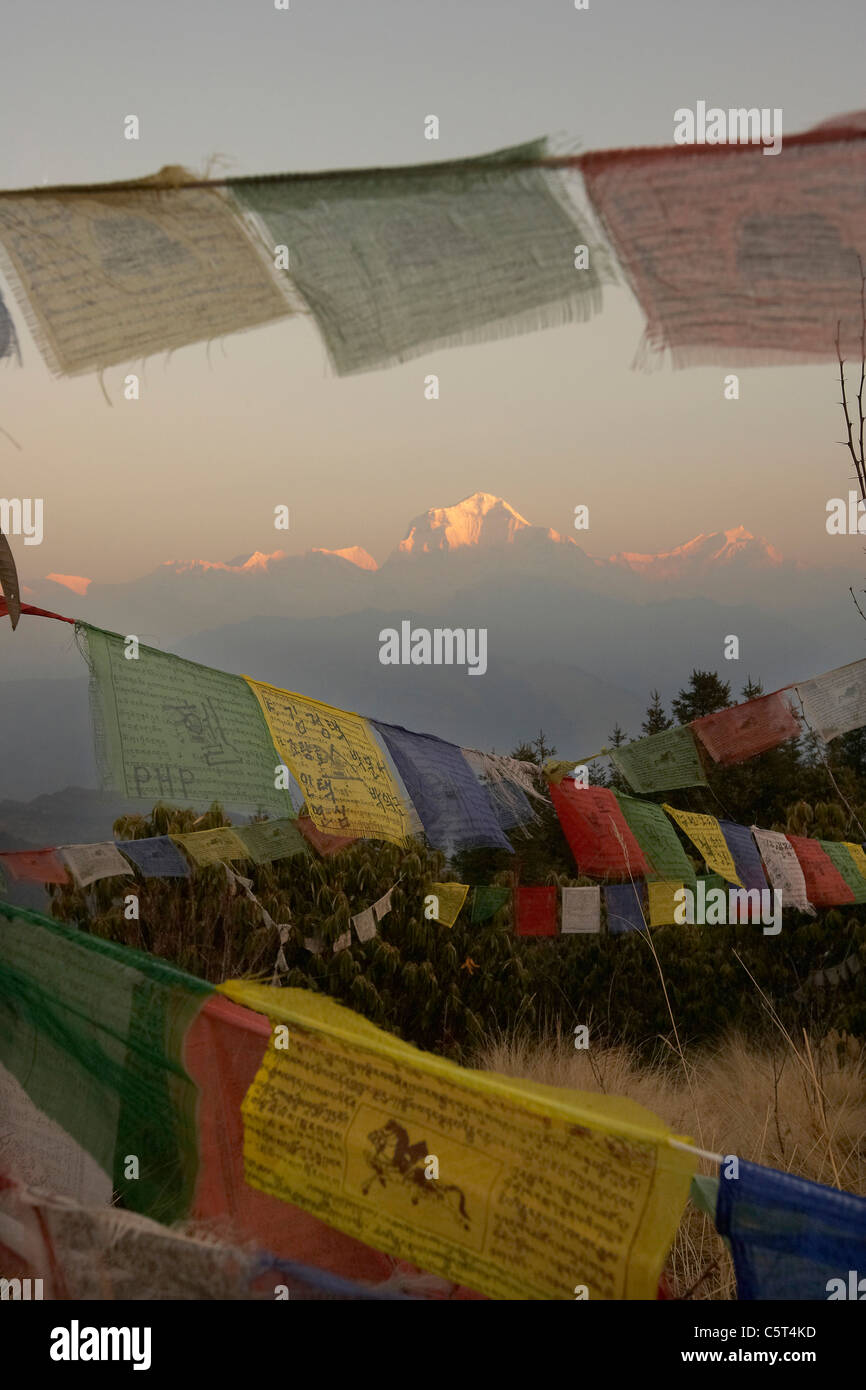 Sonnenaufgang und Gebet Flaggen auf Poon Hiil Blick auf Dhaulagiri Berg Teil der Annapurna Circuit trek, Nepal, Asien Stockfoto