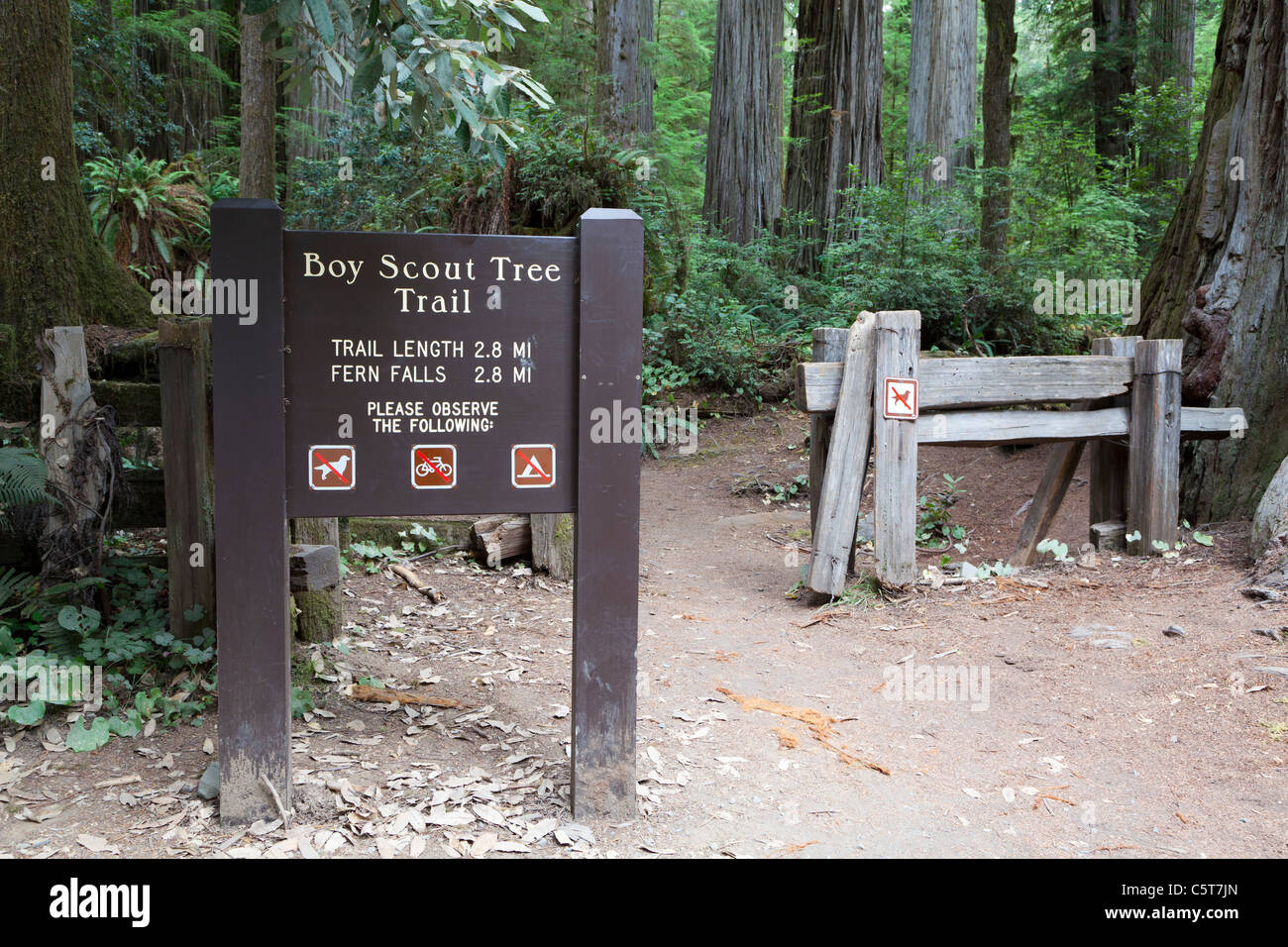 Start der Boy Scout Tree Trail-Kalifornien-USA Stockfoto