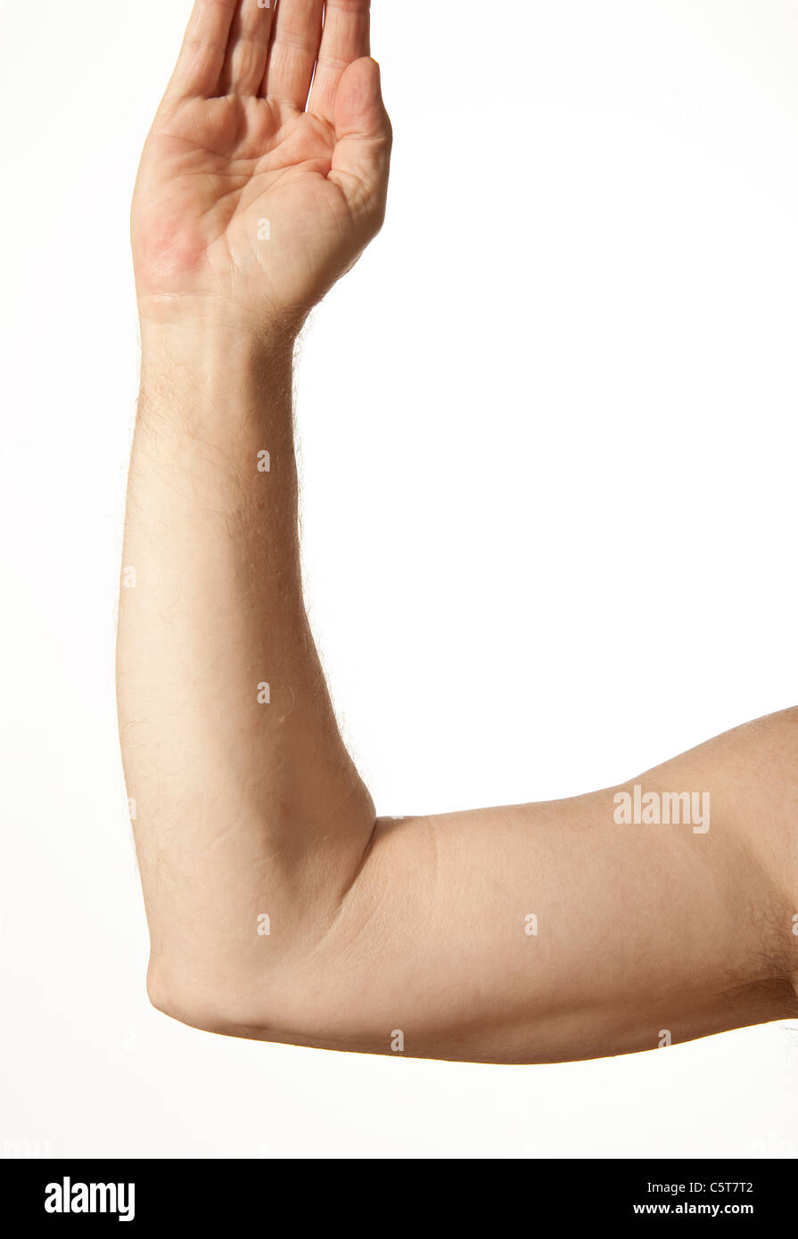 Einen erwachsenen männlichen menschlichen Arm mit Ellenbogengelenk Stockfoto