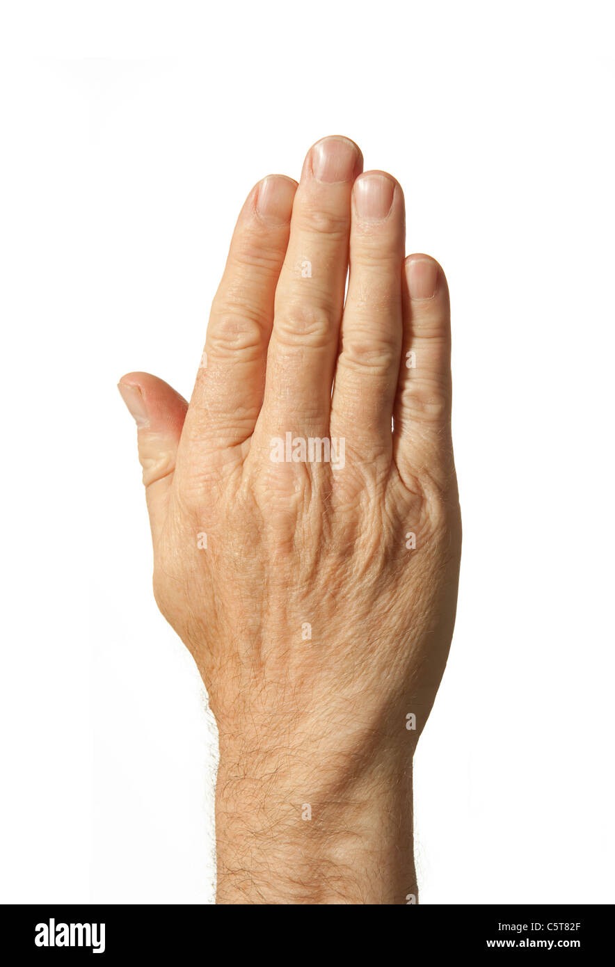 Die Hand eines Erwachsenen menschlichen männlichen Stockfoto