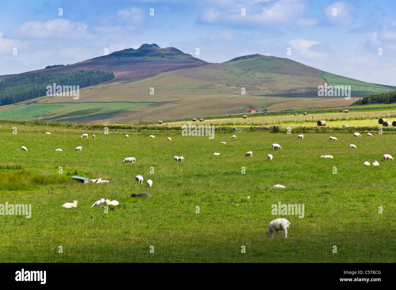 Ruberslaw Hill in den Scottish Borders, ein Meilenstein in den Cheviot-Bereich in der Nähe von Hawick Stockfoto