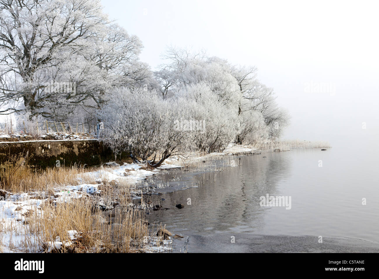 Raureif auf Ullswater im Winterschnee Cumbria UK Stockfoto