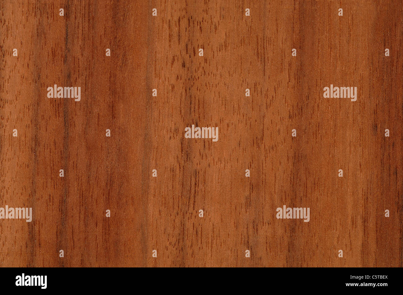 Holz Oberfläche, Niové Wood (Staudtia Stipitata)fullframe